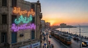 رقم صيانة فريش بالاسكندرية