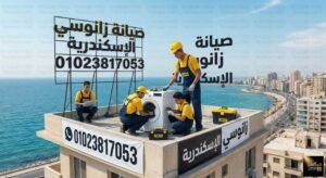 صيانة زانوسي الاسكندرية